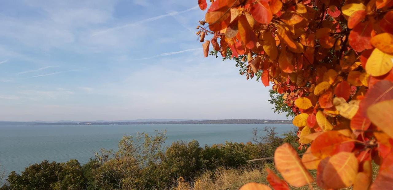 Riviera Wellness Apartman Siófok Exteriér fotografie